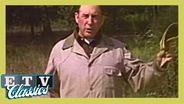 The Battle of Cowpens, Part 1 - January 17, 1781 | And Then There Were Thirteen (1976)