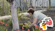 Native Plants: Transforming Urban Landscapes | LaDonna Mask | Read, Write, ROAR!