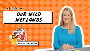 Our Wild Wetlands