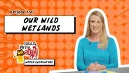 Our Wild Wetlands