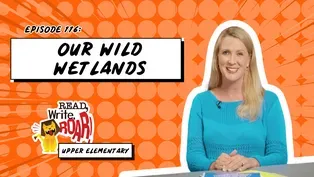 Our Wild Wetlands
