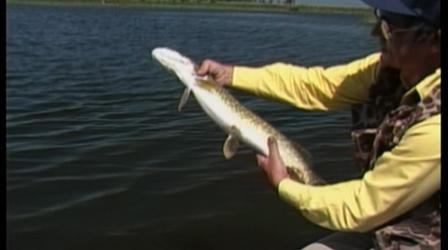 Video thumbnail: Rod & Reel Streamside Country Bass and Pike