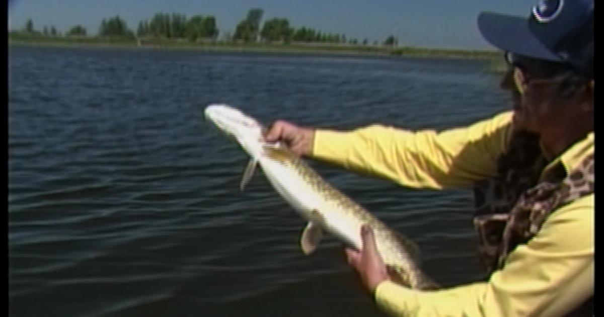 Rod & Reel Streamside Country Bass and Pike Season 5 PBS