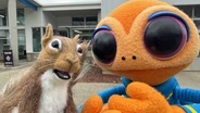 One Out of Two Puppets Make Mistakes