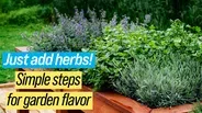 Growing Herbs Outdoors