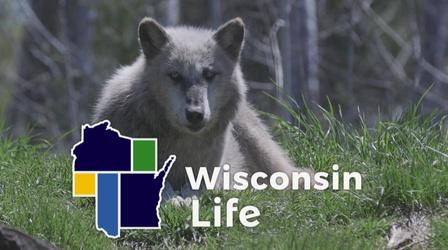 Video thumbnail: Wisconsin Life Fortitude