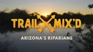 Hiking Arizona’s Riparians: It’s a Shore Thing