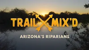 Hiking Arizona’s Riparians: It’s a Shore Thing