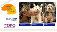 09/26/2024 | Holiday, Aitken and Hara | Mark's Furry Friends | Web Extra