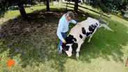 Barn Sanctuary gives second chance to Michigan farm animals