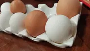 Missouri Egg Council