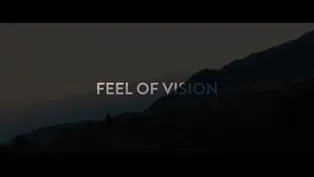 Feel of Vision