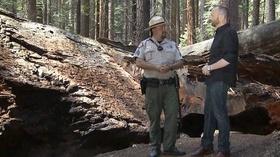 Video thumbnail: Rob on the Road Calaveras County