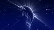 There is a Dolphin Constellation? | October 14 - October 20