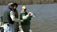 Cold Water Stripers