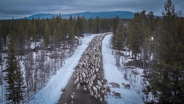 Europe's New Wild | Episode 3 Preview | The Land of the Snow and Ice