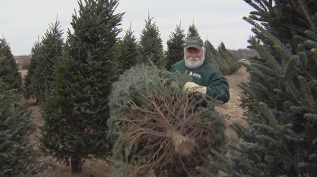 Video thumbnail: Wisconsin Life Christmas Tree Farmer