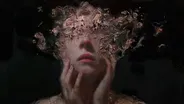 Spanish Version | Resilience