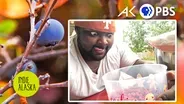 How a berry picker became a viral meme in Alaska