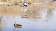 Rio Grande Flow Levels and Future Drought Conditions