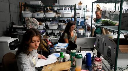 Video thumbnail: ncIMPACT Boone Program Delivers Fresh Food to Rural Communities