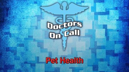 Video thumbnail: Doctors On Call Pet Health