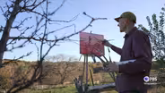 Artist on Wheels