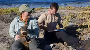 Earth Focus Season 6 (Preview)