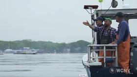 Video thumbnail: WCNY SciTech Now Data, Fire, and Veggies!