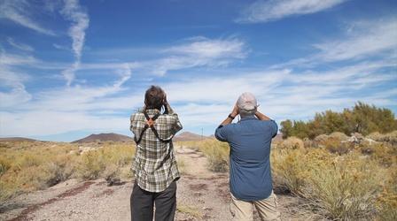 Video thumbnail: Outdoor Nevada Oasis Valley Birding