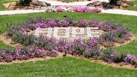 Video thumbnail: Backyard Farmer Backyard Farmer: Tree Management and Cancer Memorial Garden