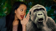 A Controversial Theory About Gossip
