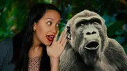A Controversial Theory About Gossip