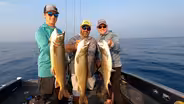 Pike Fishing, Wildlife Artist, BHA Event