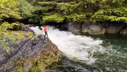 Cutting alder to smoke salmon