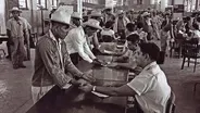 The Braceros, An Oregon Experience