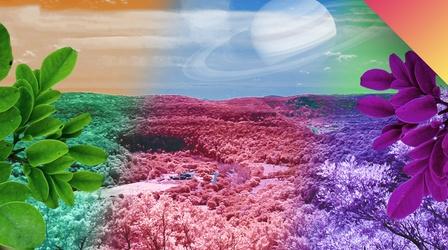 Video thumbnail: Be Smart What If We Could See Nature In Infrared?