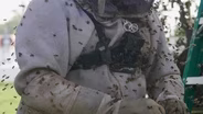 Welcome to TX Beekeeping!