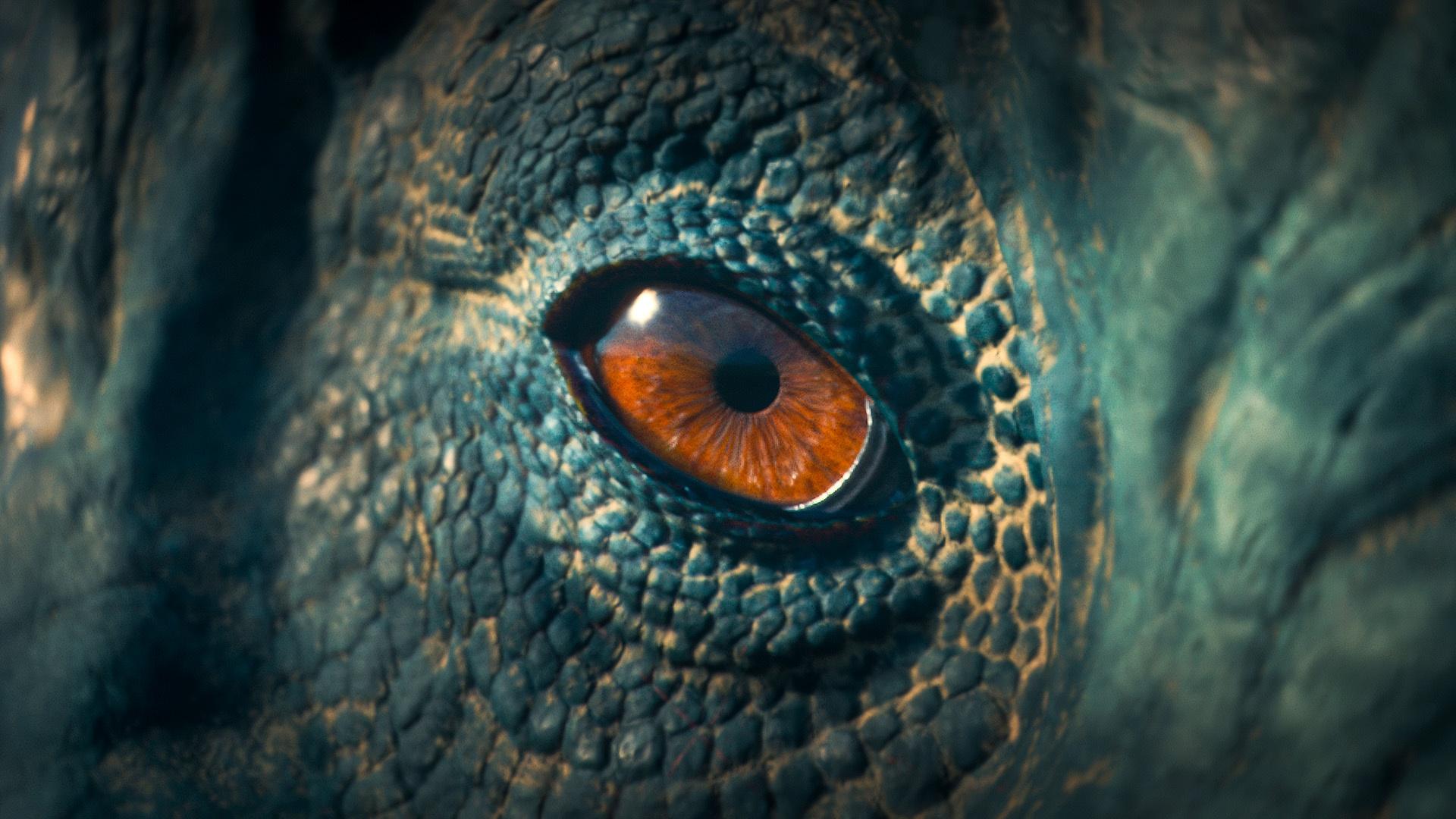 A young Albertosaurus, a relative of T. Rex, earns her place in a fierce hunting pack.