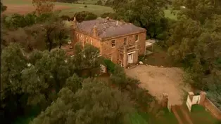 This Old House (And That Cellar!)