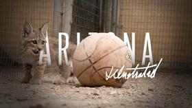 Video thumbnail: Arizona Illustrated August 4, 2019