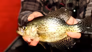 Ice Fishing