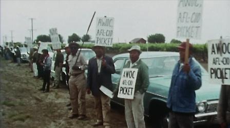 Video thumbnail: Asian Americans ‘We Farmworkers Should Have an Organization of Our Own’