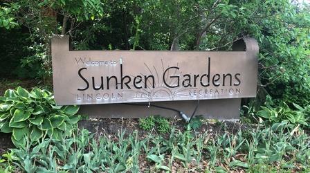 Video thumbnail: Backyard Farmer Digging Deeper: Sunken Gardens