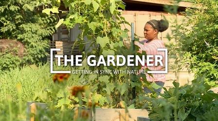 Video thumbnail: Digital Shorts Age of Nature: The Gardener