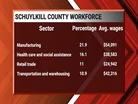 Where are the jobs in Skuylkill County?