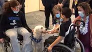 Maui, a therapy dog, works her charm at children's hospital