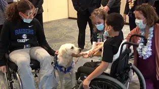 Maui, a therapy dog, works her charm at children's hospital