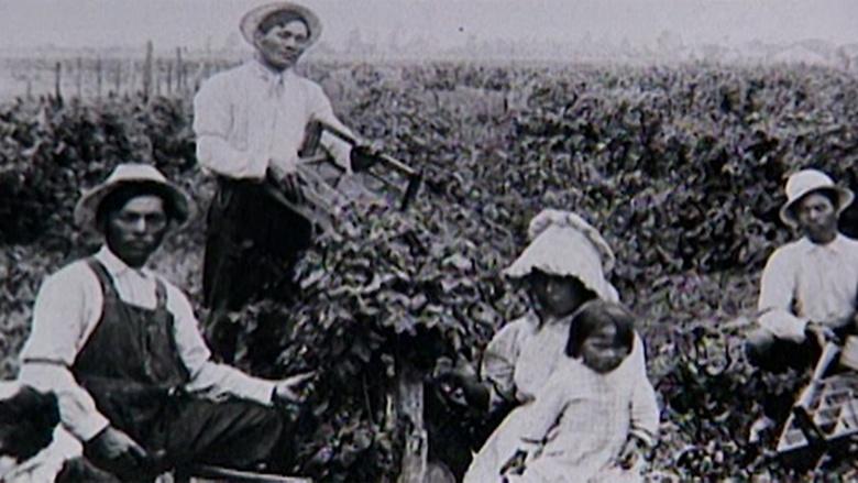 KVIE Documentaries Image