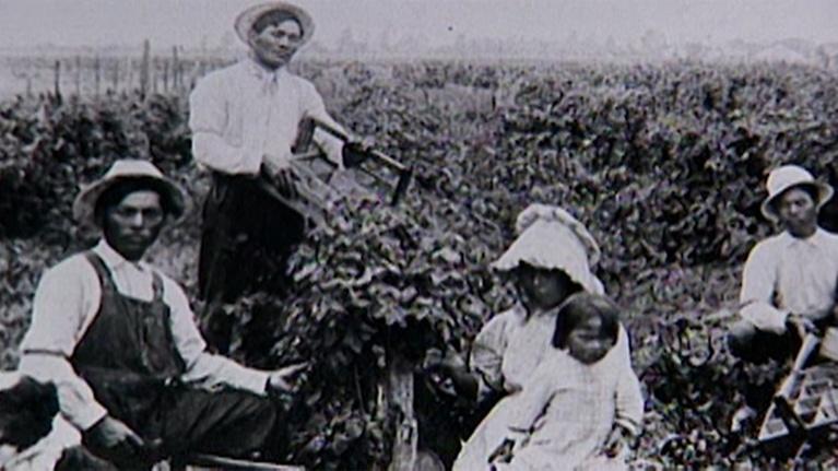 KVIE Documentaries: Forsaken Fields